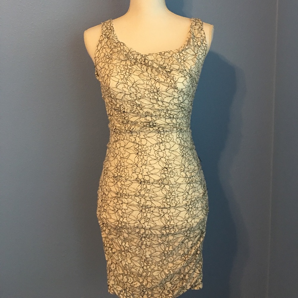 Express Cocktail Dress